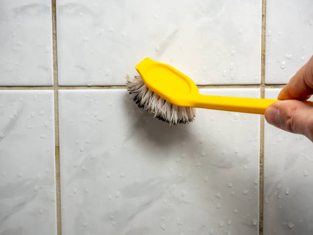 Best Bathroom Mold Remediation in Red Bank, NJ