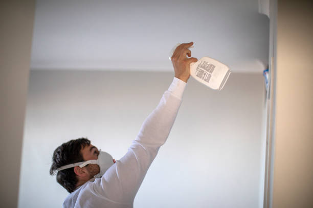 Best Black Mold Remediation in Red Bank, NJ