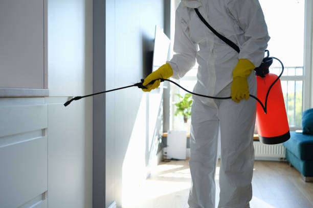 Professional Mold Remediation in Red Bank, NJ